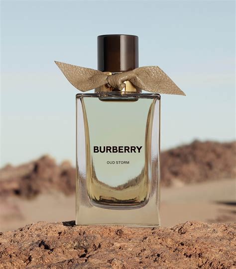 burberry oud storm|extreme botanicals oud storm.